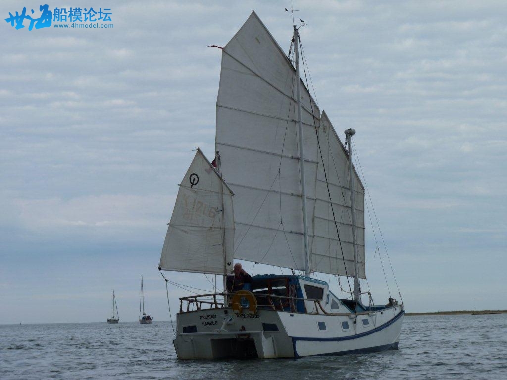 Pelican under sail.jpg