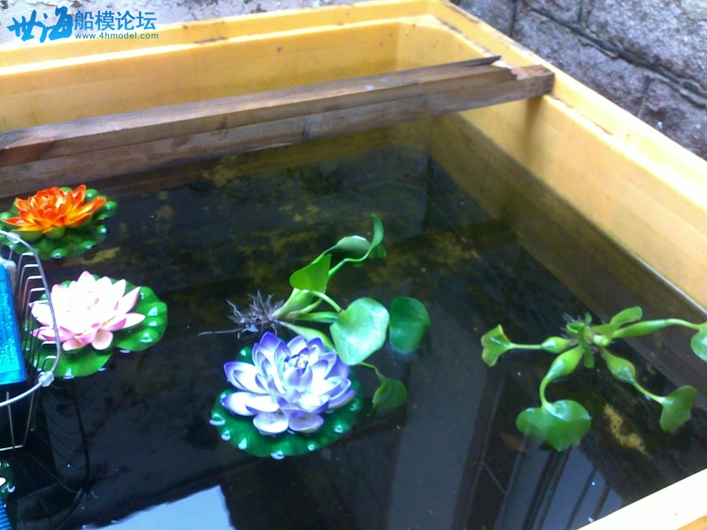 20130713468.jpg