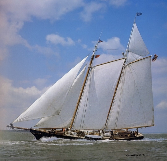 dk_tall_ships_america_gaff_schooner_lyr_1967.jpg