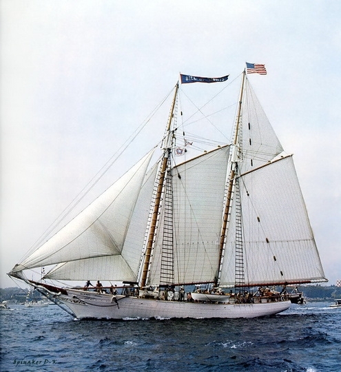 dk_tall_ships_bill_of_rights_gaff_schooner_lyr_1971.jpg