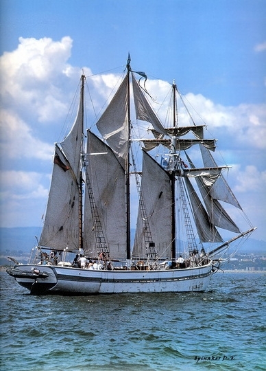 dk_tall_ships_aquila_marina_topsail_schooner_lyr_1920.jpg