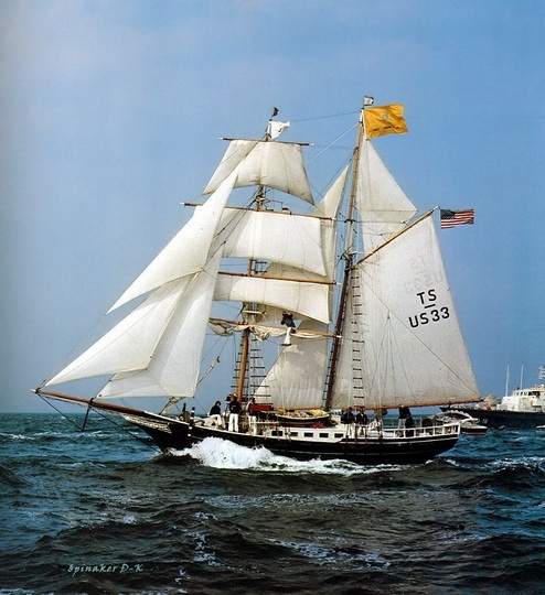 dk_tall_ships_black_pearl_brigantine_lyr_1951.jpg