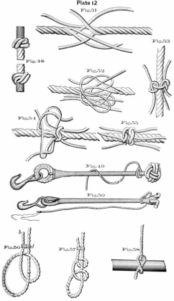 plate12.jpg