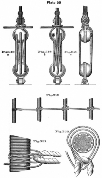 plate56.jpg