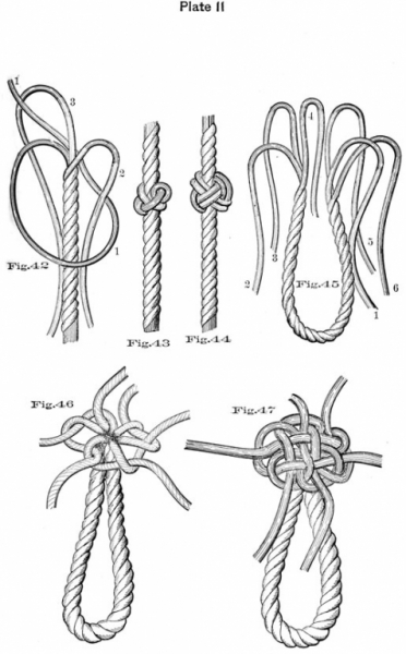 plate11.jpg