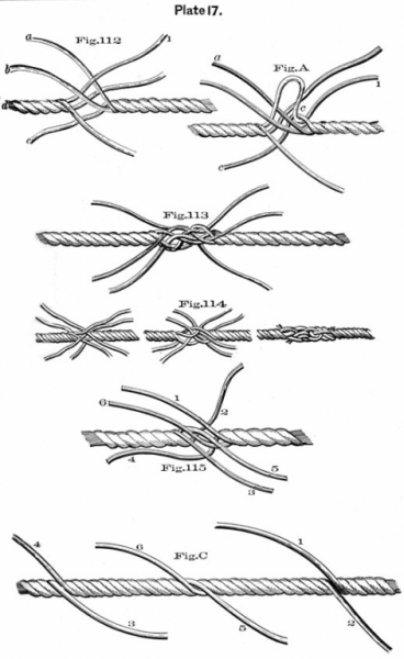 plate17.jpg