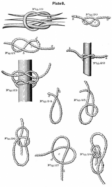 plate8.jpg