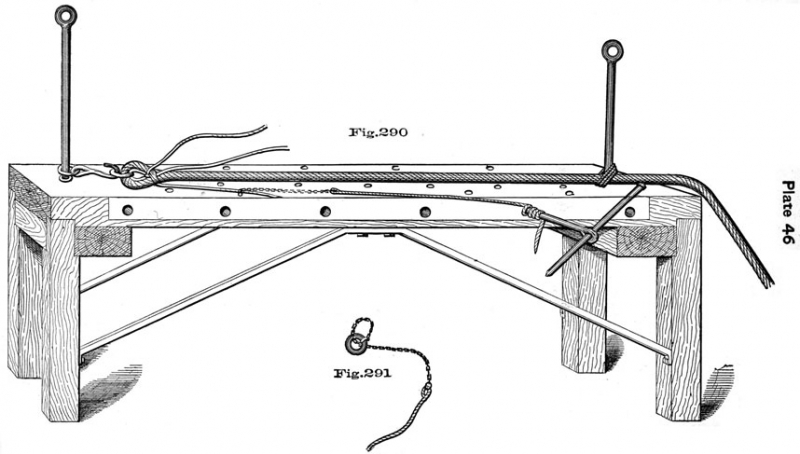 plate46.jpg