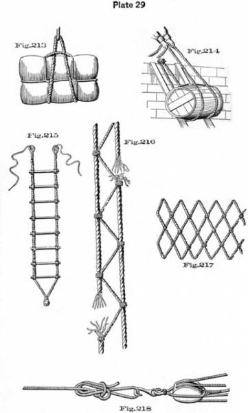 plate29.jpg