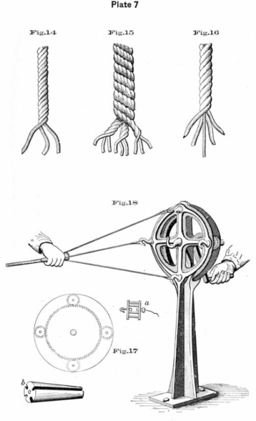 plate7.jpg