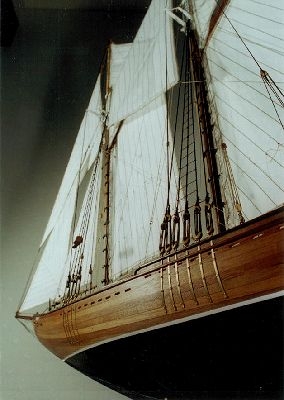 bluenose206.jpg