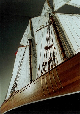 bluenose205.jpg