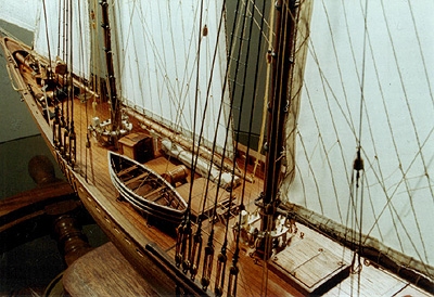 bluenose215.jpg